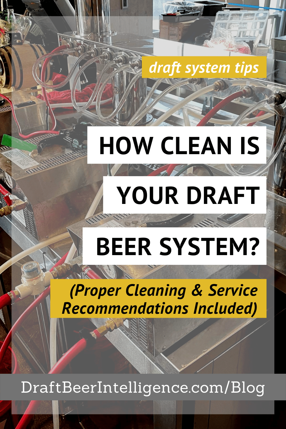 How Clean Is Your Draft Beer System? (cleaning included