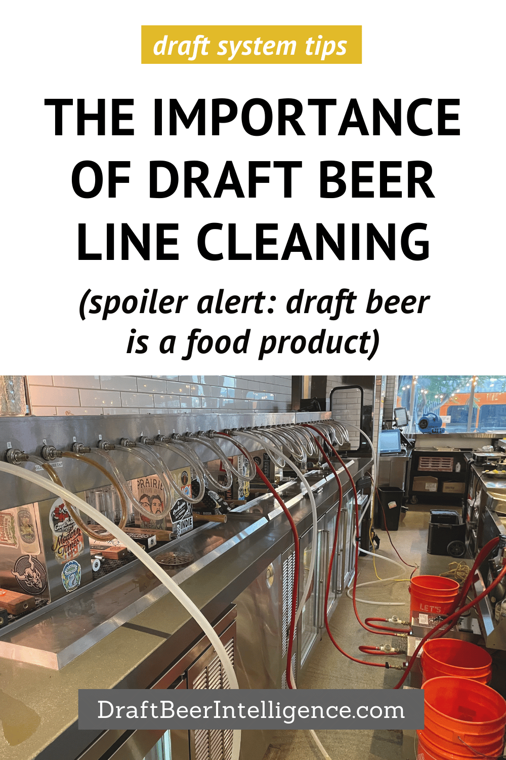 Why Proper Draft Beer Line Cleaning Is So Important Draft Beer