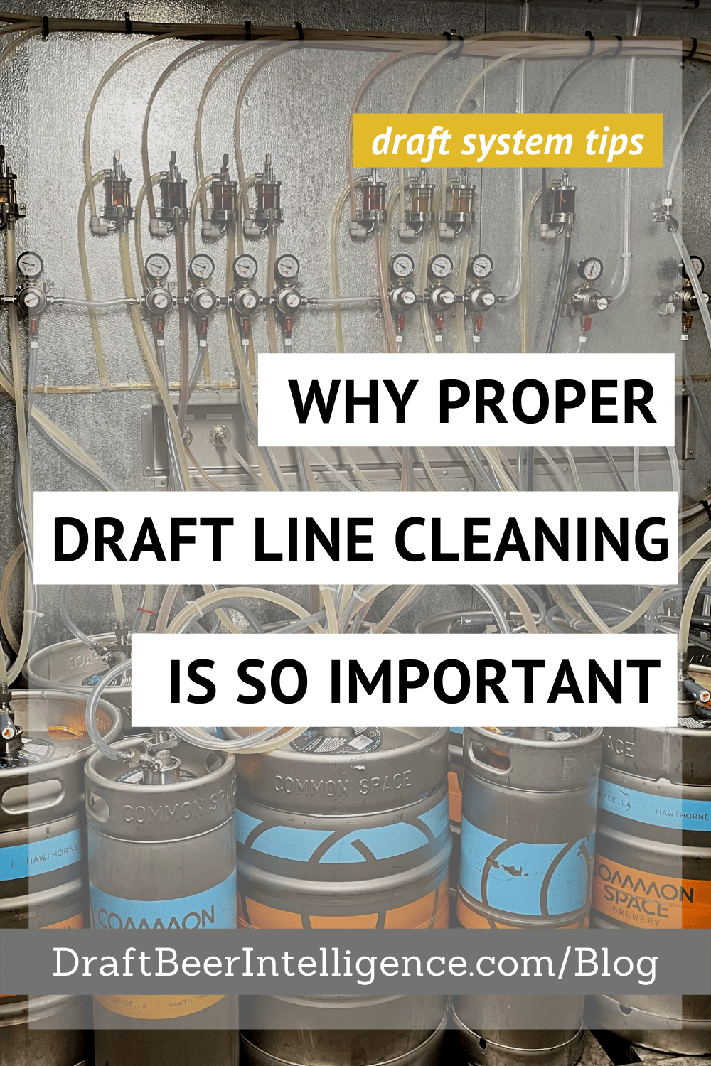 Why Proper Draft Beer Line Cleaning Is So Important Draft Beer