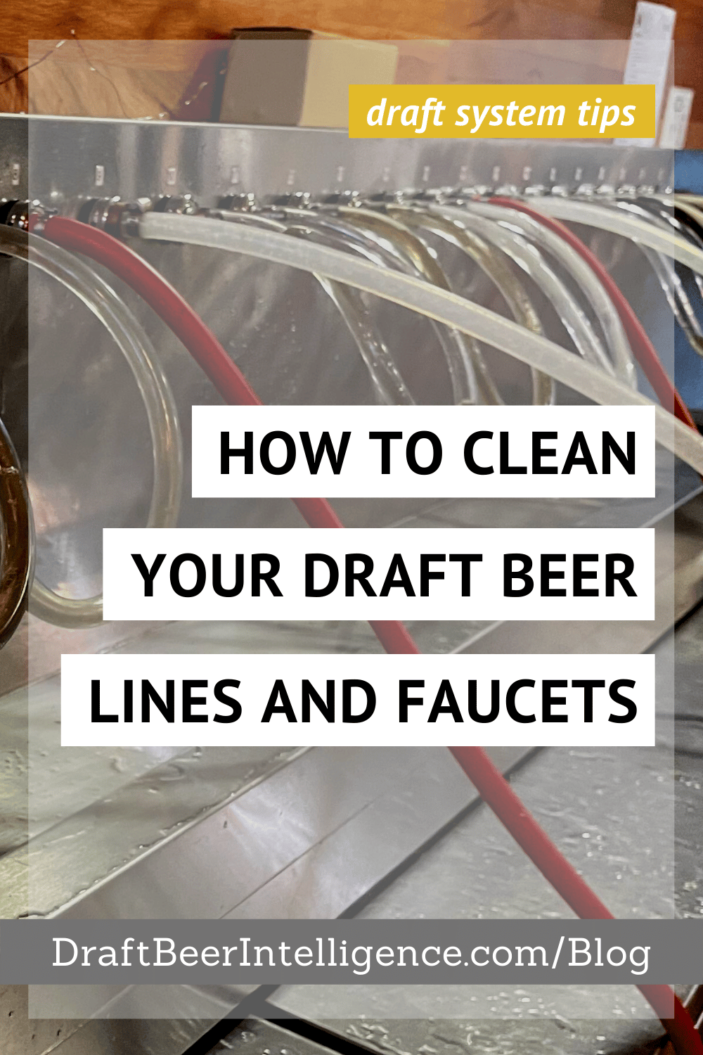 How To Clean Your Draft Beer Lines Faucets Draft Beer Intelligence